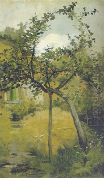 L'albero Cadente - view 1
