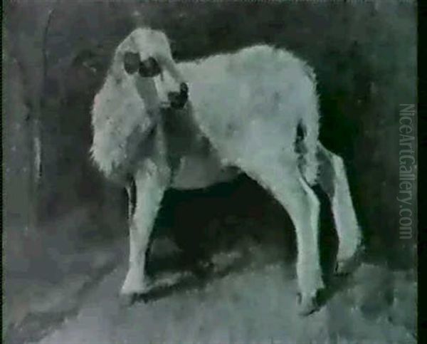 Agnellino - view 1