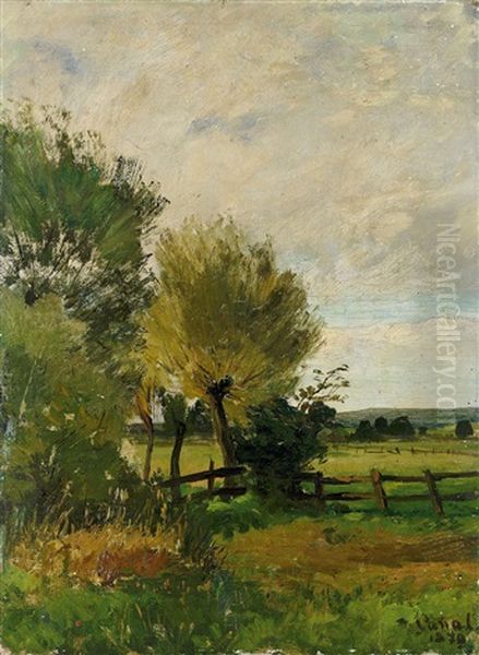 Weidelandschaft Mit Knuppelweide Und Hag - view 1