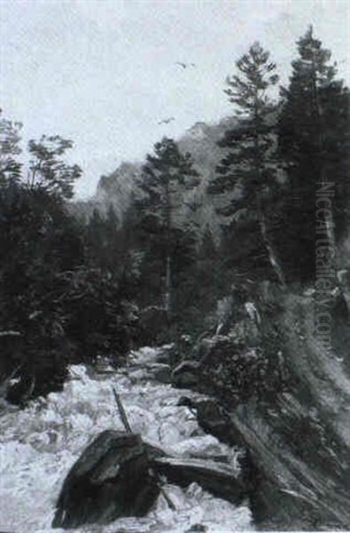 Gebirgsbach - view 1