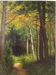 Wooded Path Wooded Path