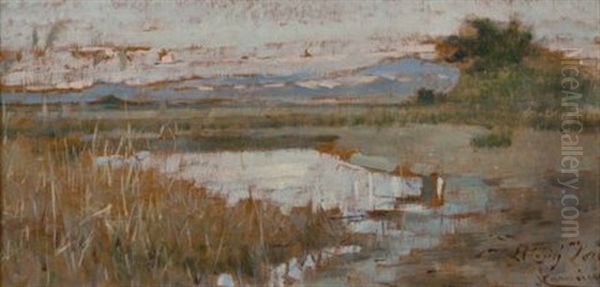 Paesaggio Della Maremma - view 1