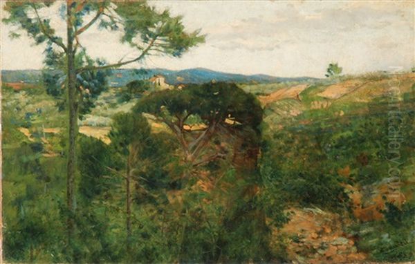 Colline A San Giminiano - view 1