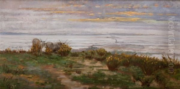 Riposo - view 1