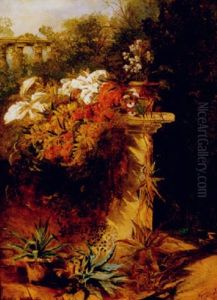 Beauty In The Ruins