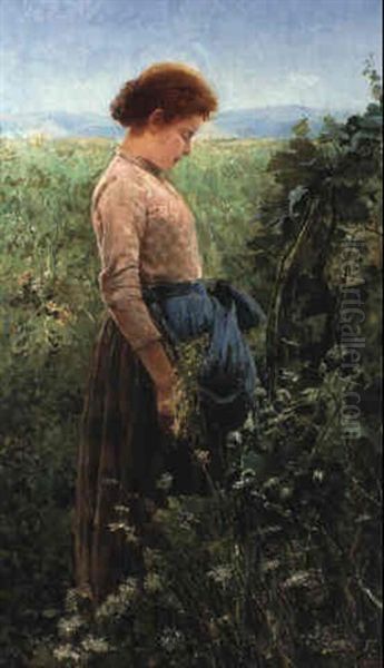A Young Girl In A Sunny Meadow - view 1
