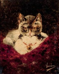Gato