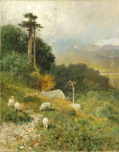 Sheep/landscape Sheep/landscape