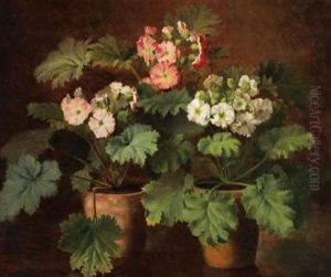 Still Life With Potted Plants