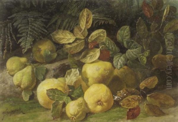 Quitten Auf Waldboden - view 1