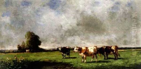 Cows In A Field - view 1