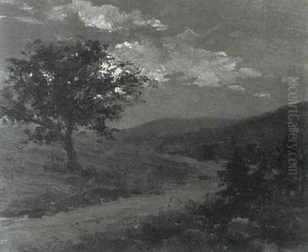Moonlight At Big Indian - view 1