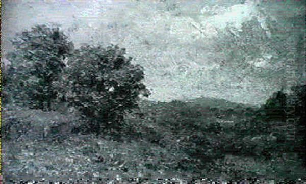 Afternoon In The Catskills - view 1
