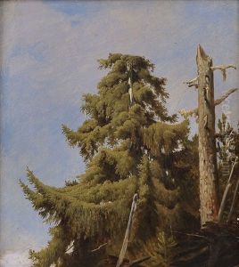 Tree (study) by Herman August Cappelen