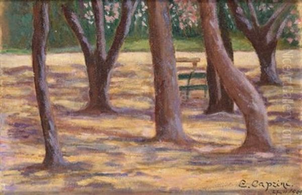 Alberi - view 1