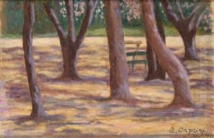 Alberi Alberi