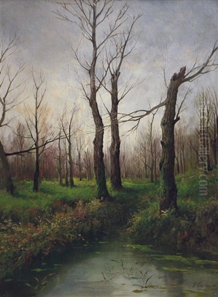 Ruscello Nel Bosco - view 1
