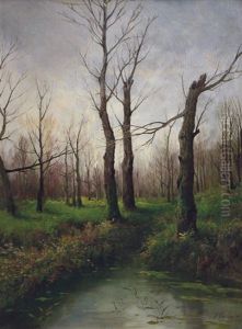 Ruscello Nel Bosco by Francesco Capuano