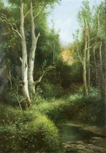 Sottobosco Con Ruscello by Francesco Capuano