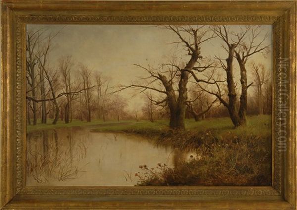 Trees By A Riverbed - view 1