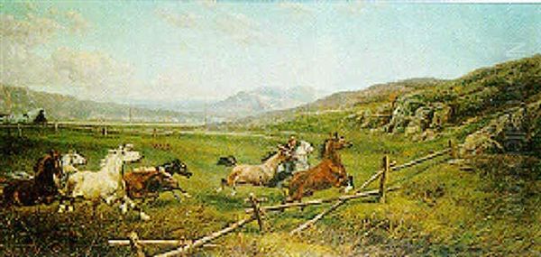 Wild Horses In The Italian Campagna - view 1