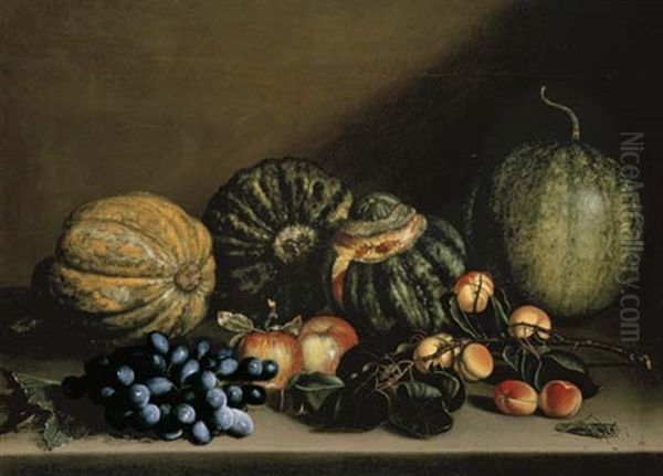 Melons, Apricots, Grapes And Apples On A Stone Ledge - view 1