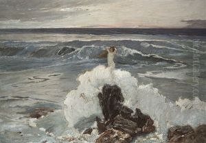 Nata Dal Mare Nata Dal Mare