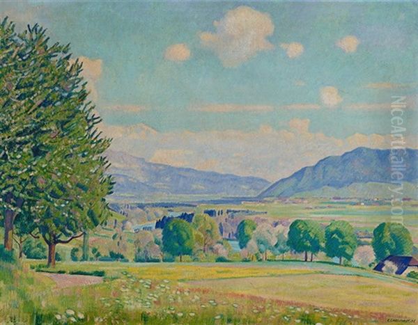 Fruhlingslandschaft Bei Bern Mit Blick Auf Die Berner Alpen - view 1