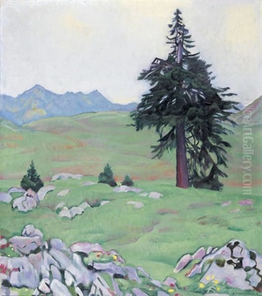 Fohre - view 1