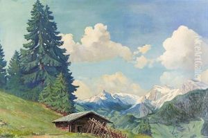 Sonnige Alpenlandschaft Mit Kleiner Holzhutte