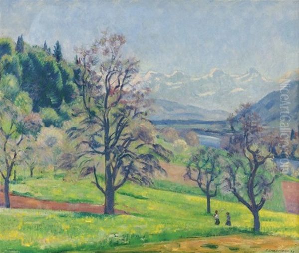 Fruhlingslandschaft Mit Der Alpenkette - view 1