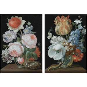 Still Life With Tulips, Hyacinths, Jasmine, Auriculas And Other Flowers In A Glass Vase On A Ledge, Together With A Lizard, A Damsel Fly And A Bumblebee (+ Still Life With Roses, Anemones And Other Fl by Johann Careel