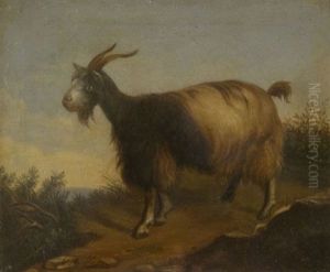 Capra