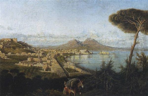 Napoli, Veduta Del Golfo - view 1