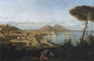 Napoli, Veduta Del Golfo