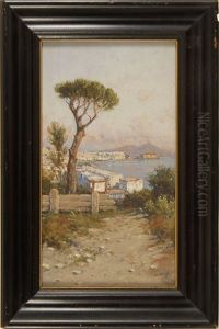 Looking Down On The Bay Of Naples by Giuseppe Carelli