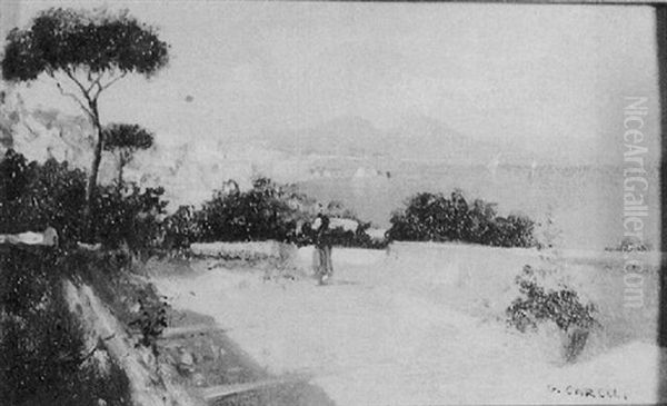 Naples From Meigelina Pompei - view 1