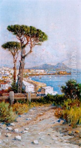 A View Of The Bay Of Naples From Posilipo - view 1