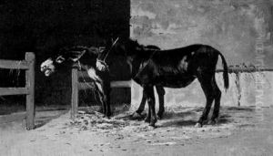 Donkeys In A Yard