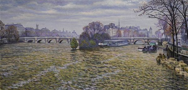 La Seine A Paris - view 1