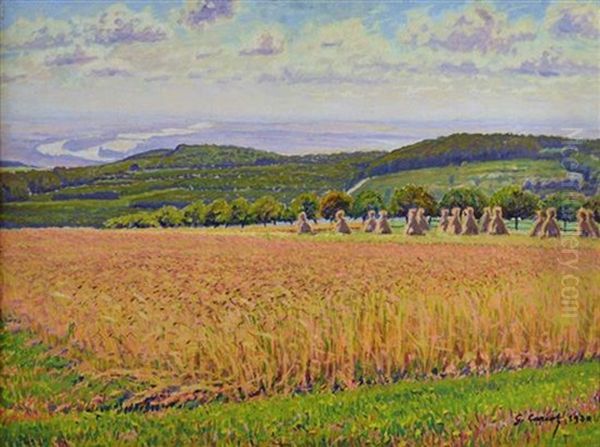Wheat Field - view 1