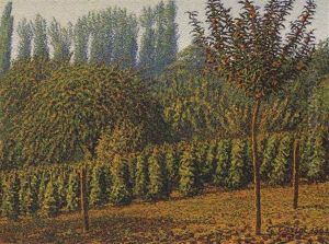 Le Poeme Des Saisons, Fructidor