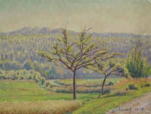 Prairies Et Foret A Georgenborn