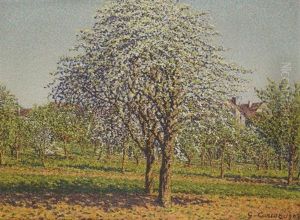 Les Pommiers En Fleurs