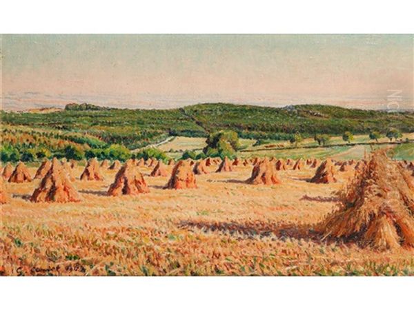 A Field Of Haystacks - view 1