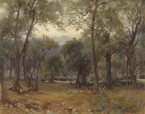 Sunlit Wooded Glade - view 1