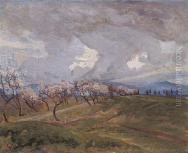 Alberi In Fiore - view 1