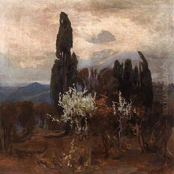 An Extensive Landscape - view 1