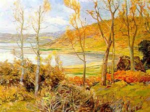 Paesaggio Del Lago De Vico