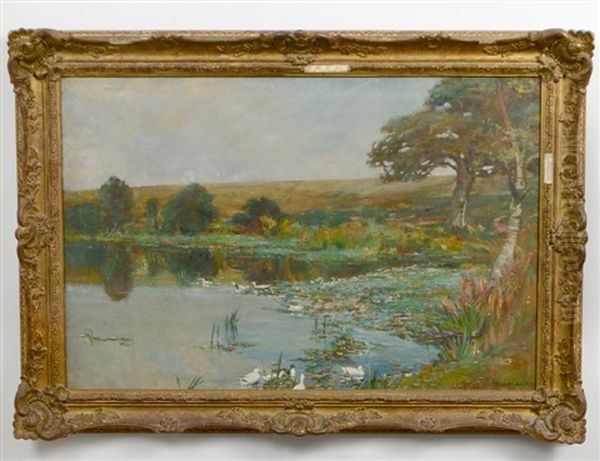 Landscape With Ducks - view 1